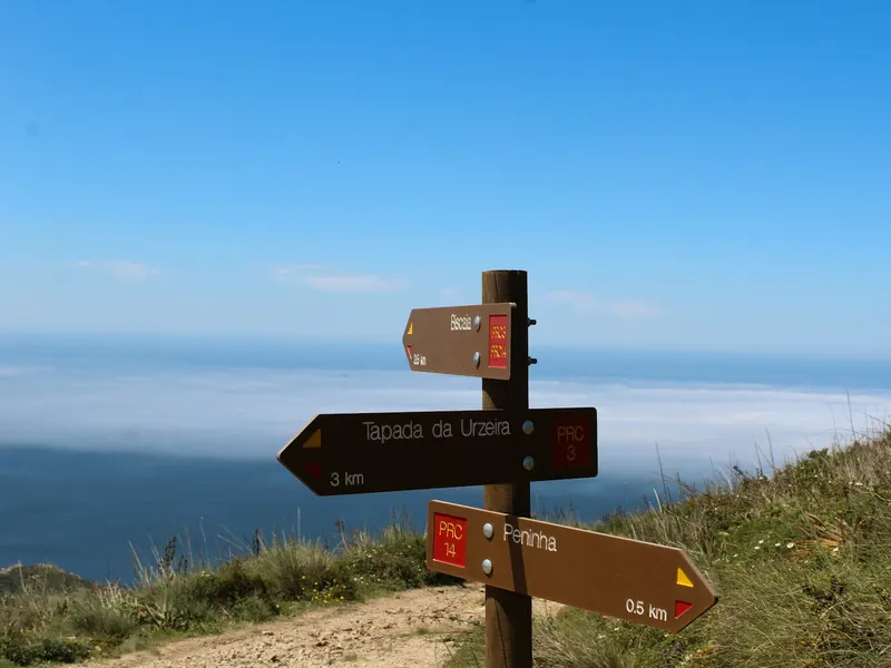 Un panneau indicateur en bois pointant vers plusieurs directions, comme les différentes façons de faire créer son site internet